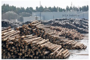 Nowa inwestycja IKEA Industry – produkcja zielonej energii