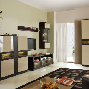 Salon z meblami serii 