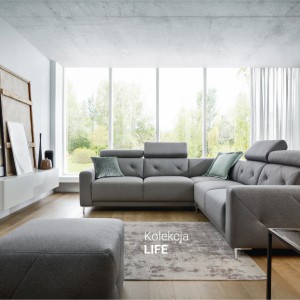 Life, Wajnert