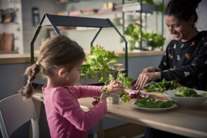 IKEA wycofa ze sprzedaży plastikowe produkty jednorazowego użytku