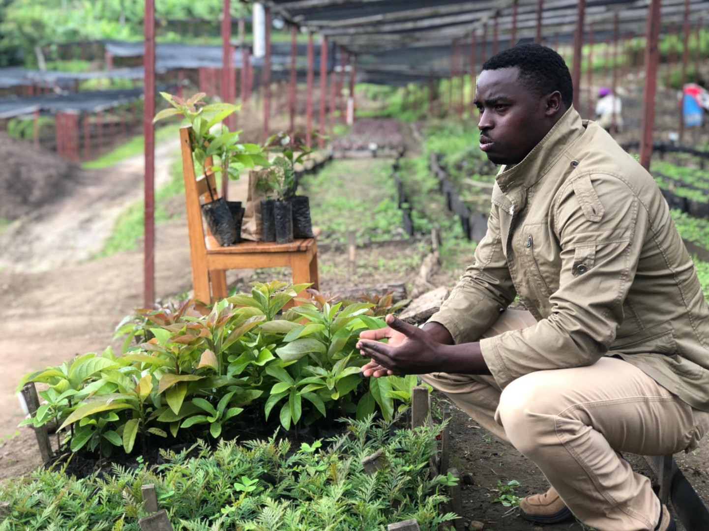 One Acre Fund wspiera 290 000 drobnych rolników w sześciu krajach Afryki Wschodniej i Południowej. Jednym z nich jest Rwanda. Fot. IKEA