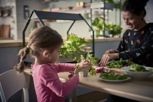 IKEA: Chcemy stworzyć ofertę opartą na modelu subskrypcji